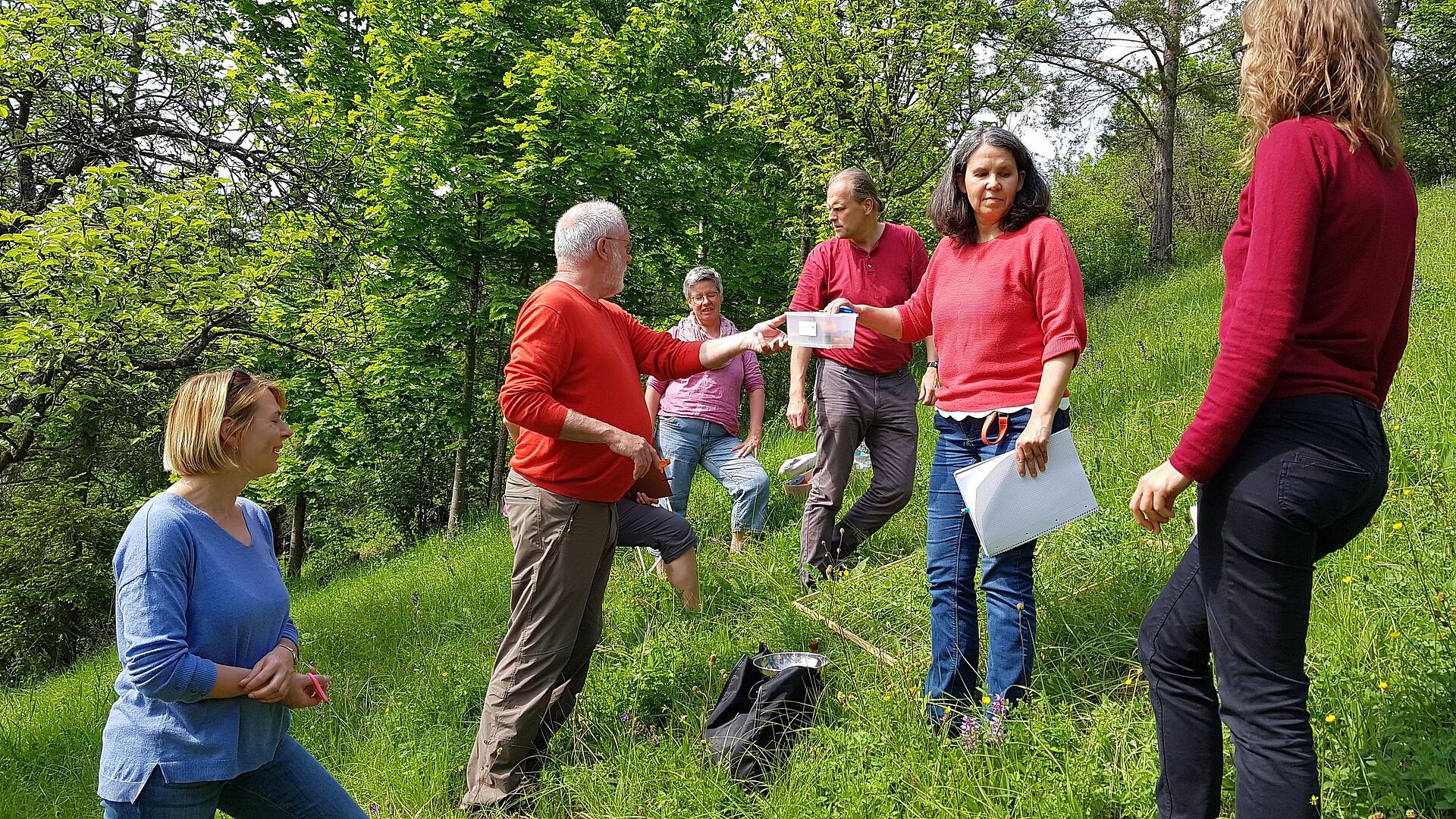 Die Wiese Oase bunter Vielfalt? Fortbildung BUND Naturschutz in