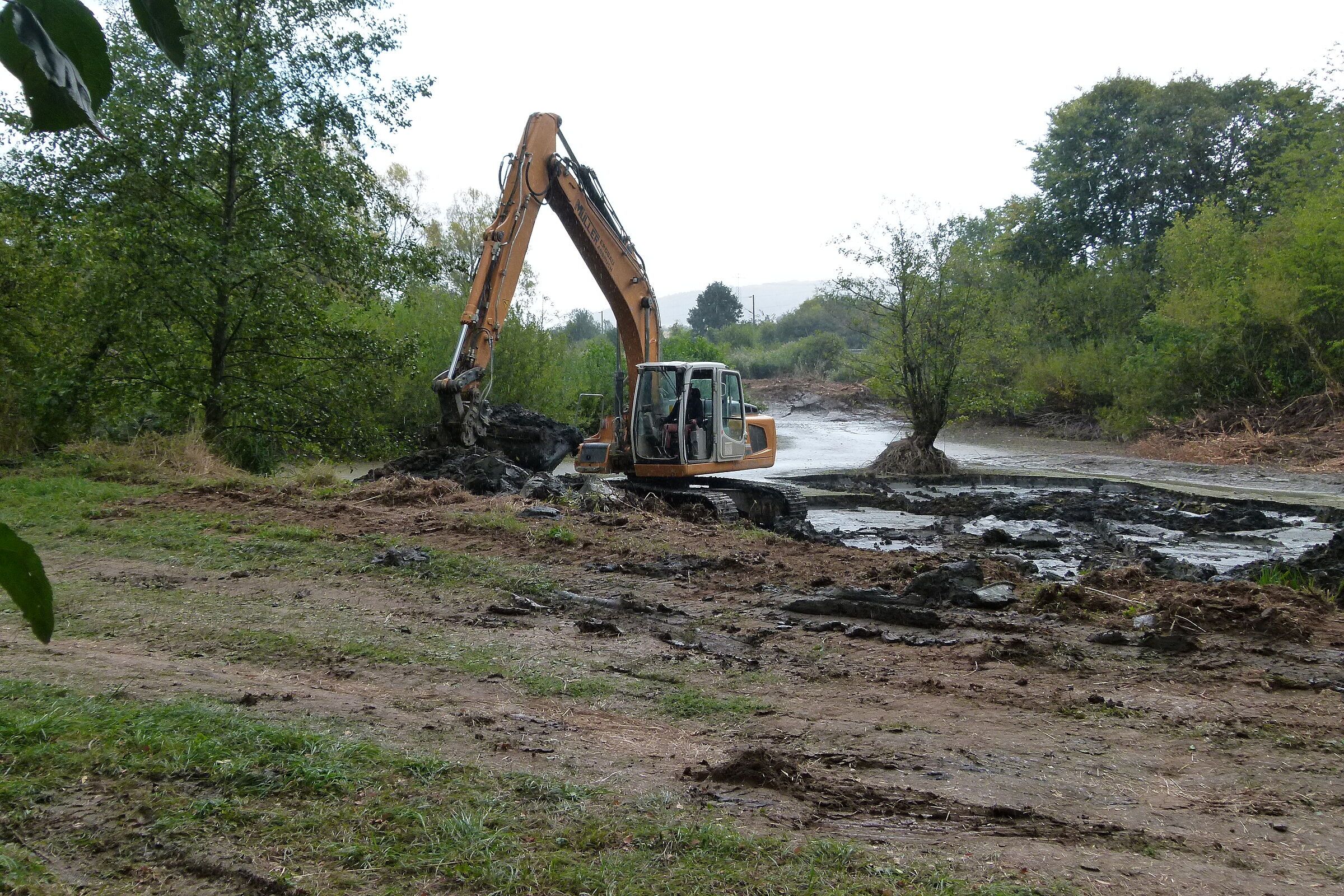 Entschlammung des Pechwiesenteichs, Foto Alfred Dill Entschlammung des Pechwiesenteichs, Foto Alfred Dill