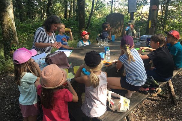 Wilde Bienen beim Picknick auf dem Waldwichtelweg, Foto Ulrich Geißler