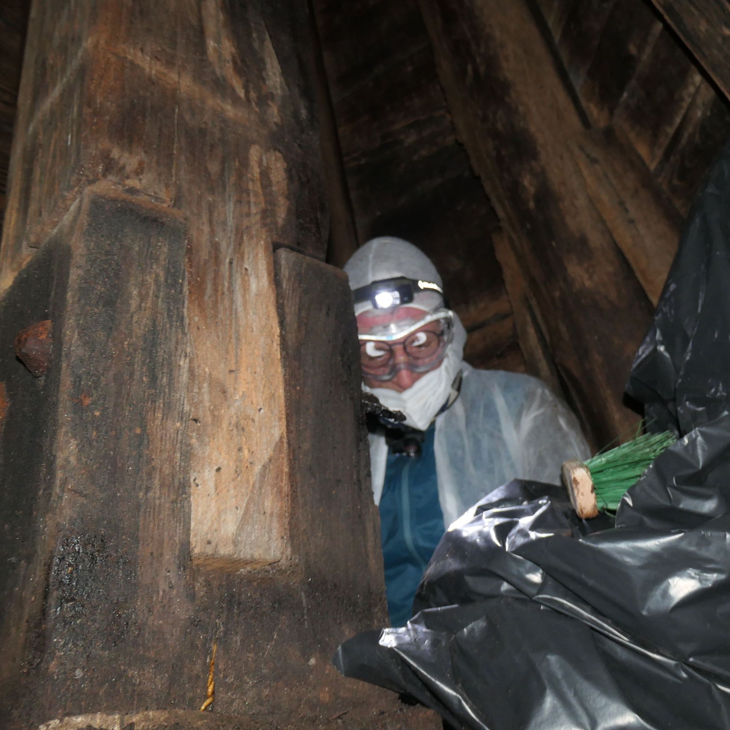 Blick in die dunkle Kirchturmspitze, die im Sommer hunderten Großen Mausohren als Wochenstube dient, Foto Oliver Kaiser Blick in die dunkle Kirchturmspitze, die im Sommer hunderten Großen Mausohren als Wochenstube dient, Foto Oliver Kaiser