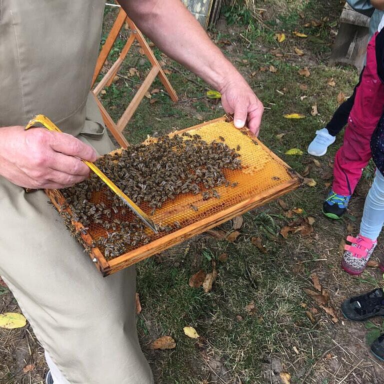 Kindergruppe Wilde Bienen zu Besuch beim Imker, Foto Ulrich Geißler