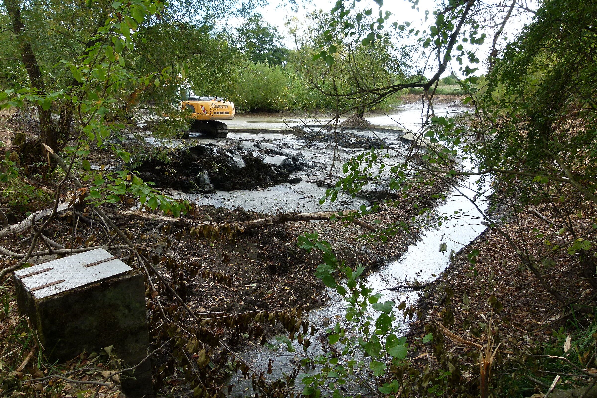 Entschlammung des Pechwiesenteichs, Foto Alfred Dill Entschlammung des Pechwiesenteichs, Foto Alfred Dill