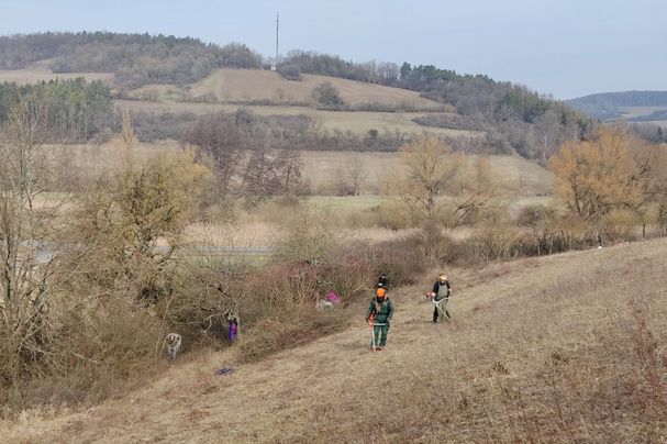 Flächenpflege auf einer verwilderten Wiese bei Hundsbach, Foto Michael Pfister