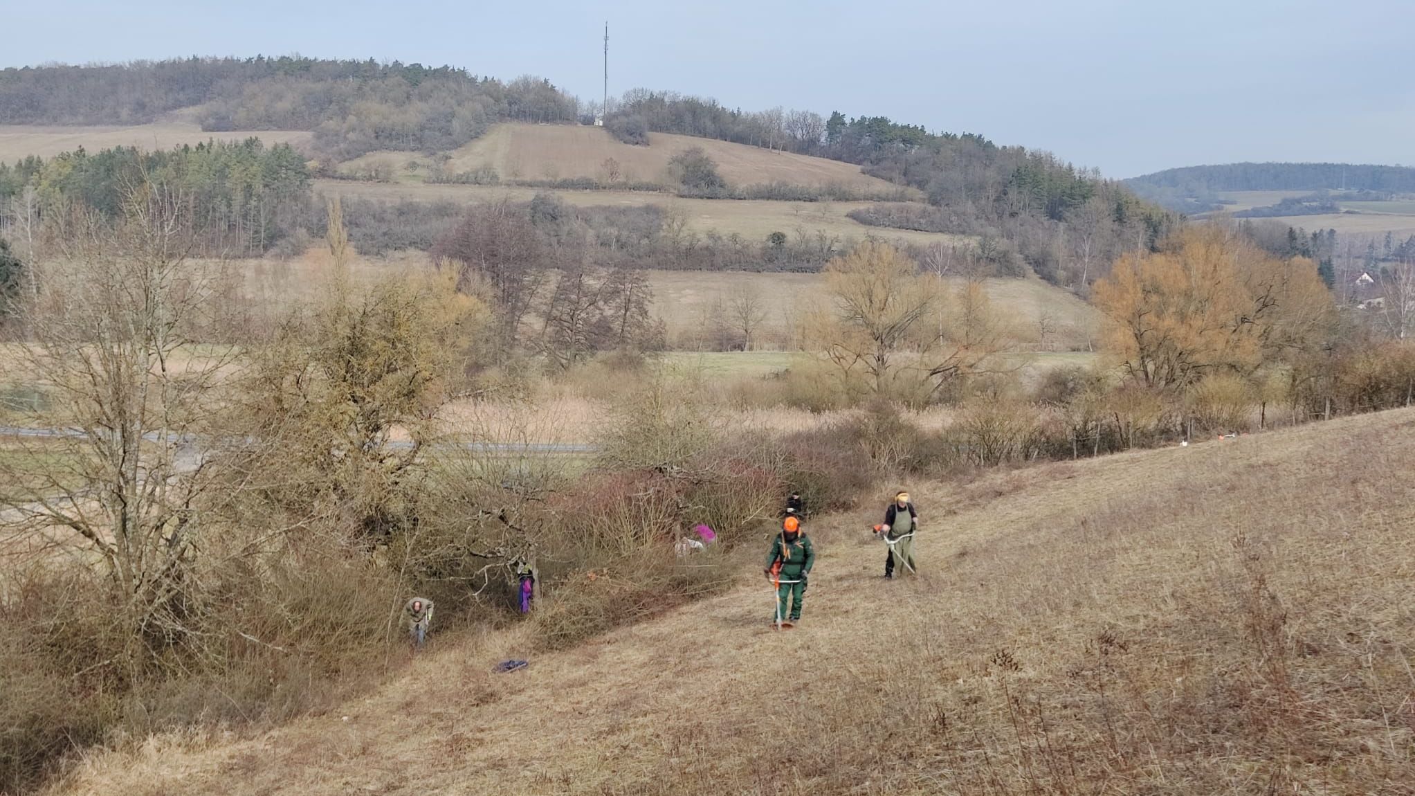 Flächenpflege auf einer verwilderten Wiese bei Hundsbach, Foto Michael Pfister