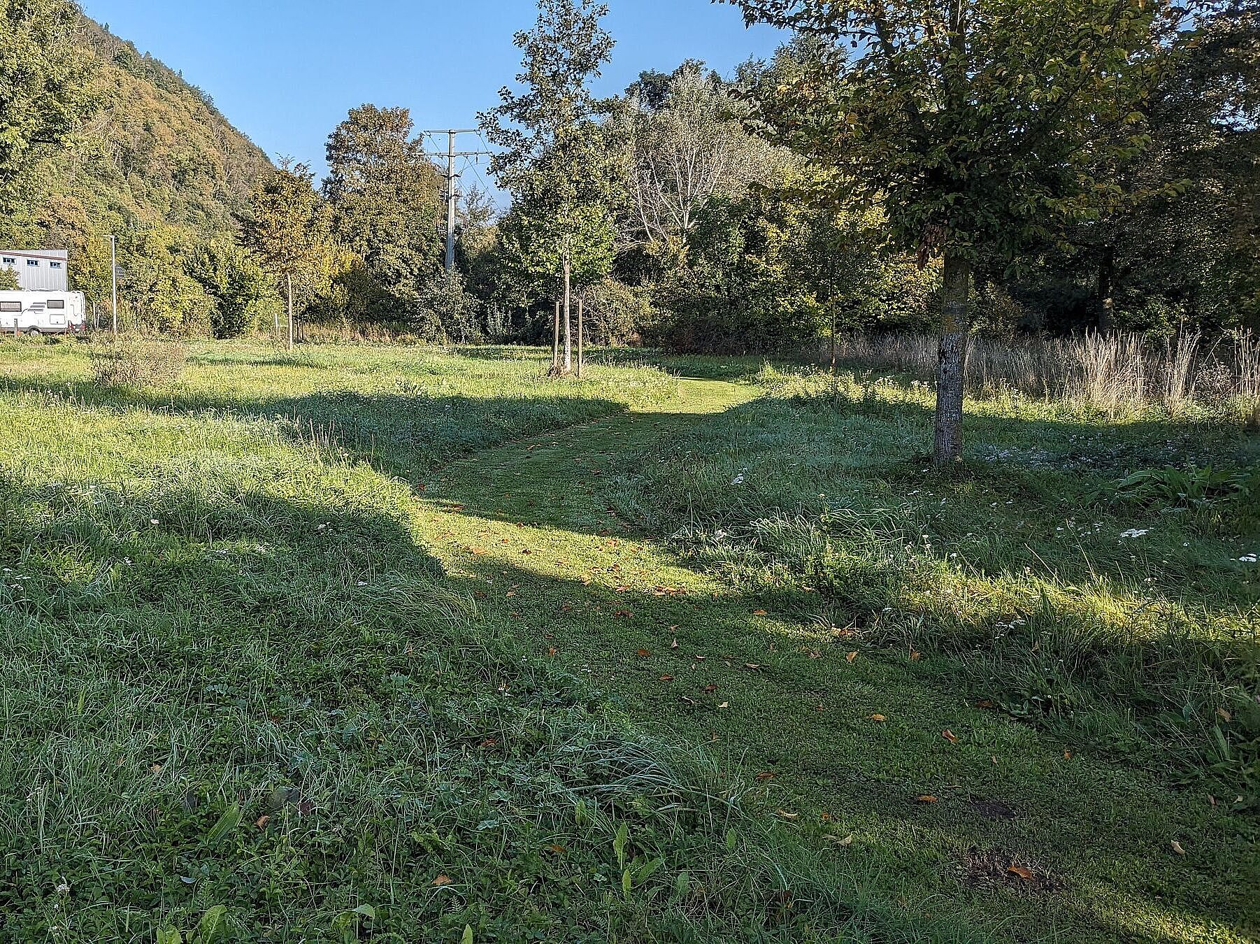 Mahdstreifen als Wege in den Mainwiesen in Mühlbach, Foto Conni Schlosser