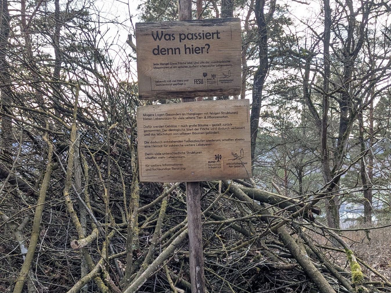 Landschaftspflegemaßnahmen erklärt, Foto Conni Schlosser