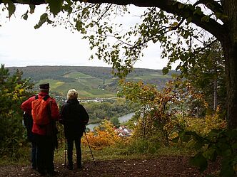 Wanderer bei Erlabrunn Wanderer