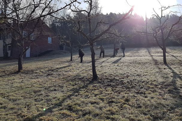 Arbeitseinsatz am Rebschnittgarten, Foto Conni Schlosser