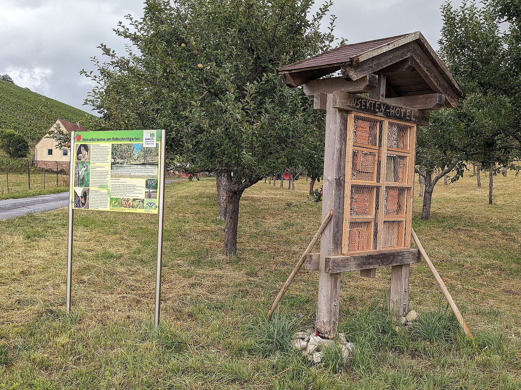 Gleich neben der Infotafel zur Streuobstwiese am Rebschnittgarten steht das neu bestückte Insektenhotel, Foto Conni Schlosser