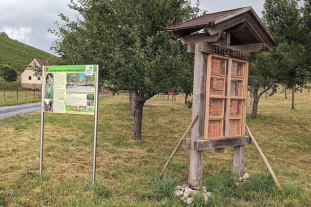 Gleich neben der Infotafel zur Streuobstwiese am Rebschnittgarten steht das neu bestückte Insektenhotel, Foto Conni Schlosser