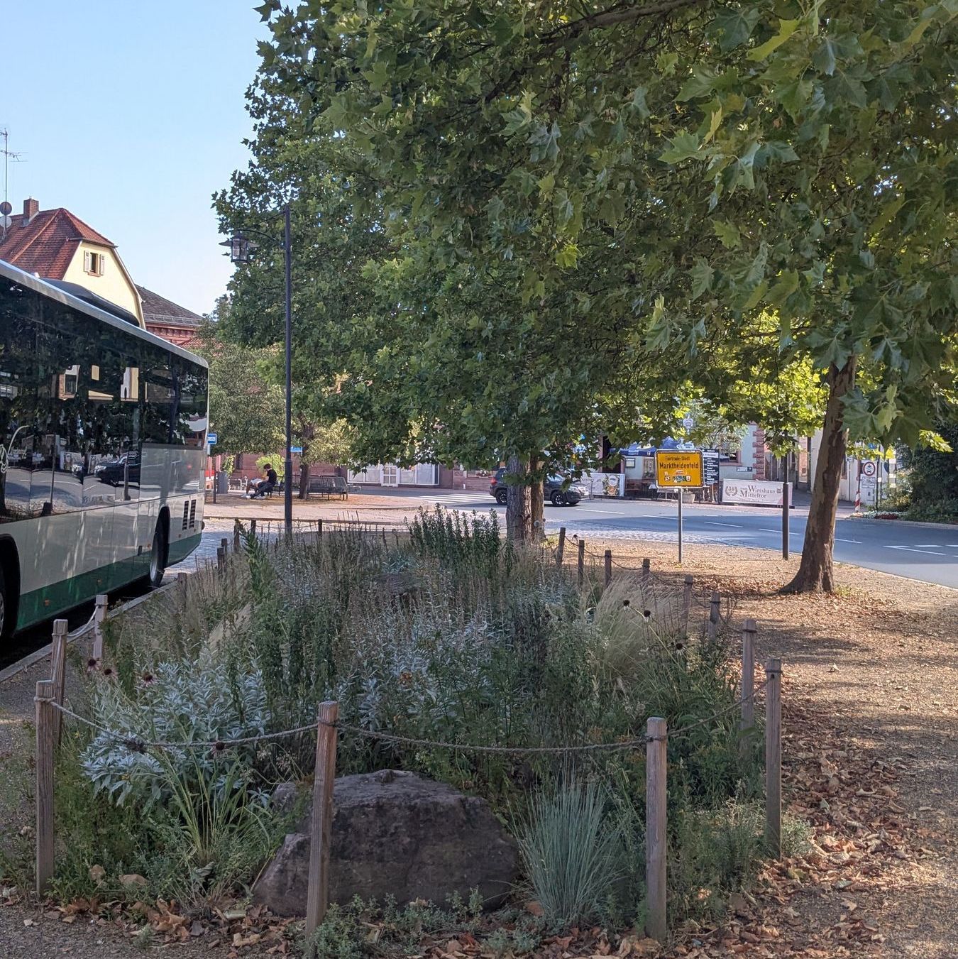 Pflanzinsel am Busbahnhof, Foto Conni Schlosser