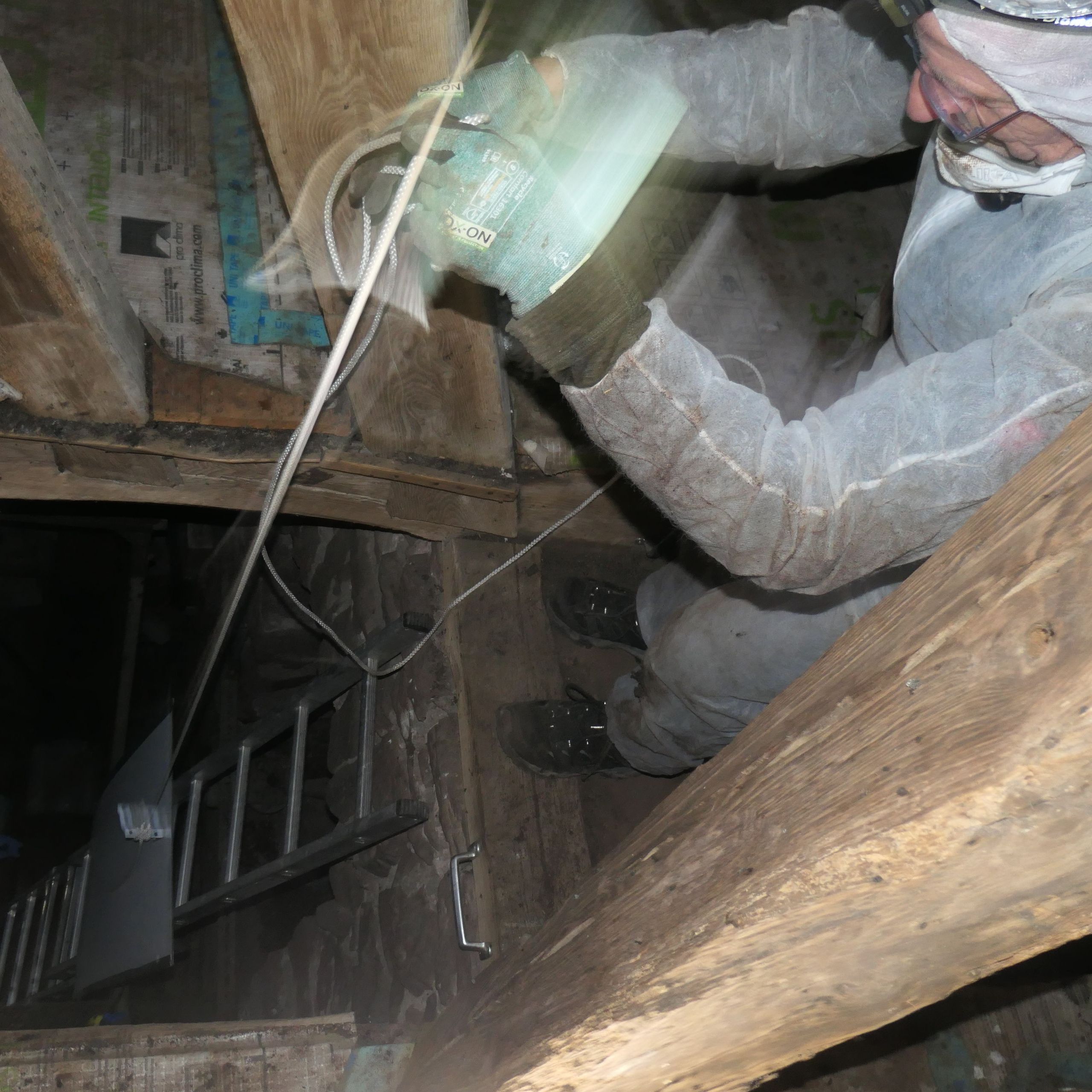 Schutzkleidung, Atemmasken und viel Handarbeit sind nötig, um das sensible Quartier zu pflegen. Foto Oliver Kaiser Schutzkleidung, Atemmasken und viel Handarbeit sind nötig, um das sensible Quartier zu pflegen. Foto Oliver Kaiser
