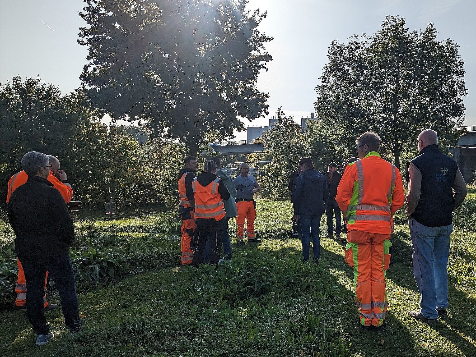 Runder Tisch Grünflächen in den Mainwiesen Mühlbach, Foto Conni Schlosser