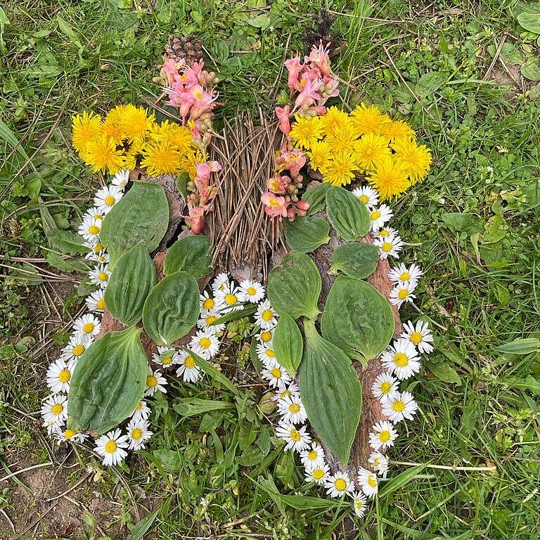 Aus dem Landart-Workshop, Foto Gurpret Zagel