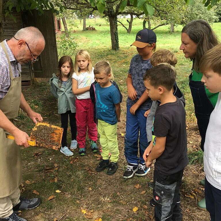 Kindergruppe Wilde Bienen zu Besuch beim Imker, hier zeigt Imker Theo Stahl eine Wabe, Foto Ulrich Geißler