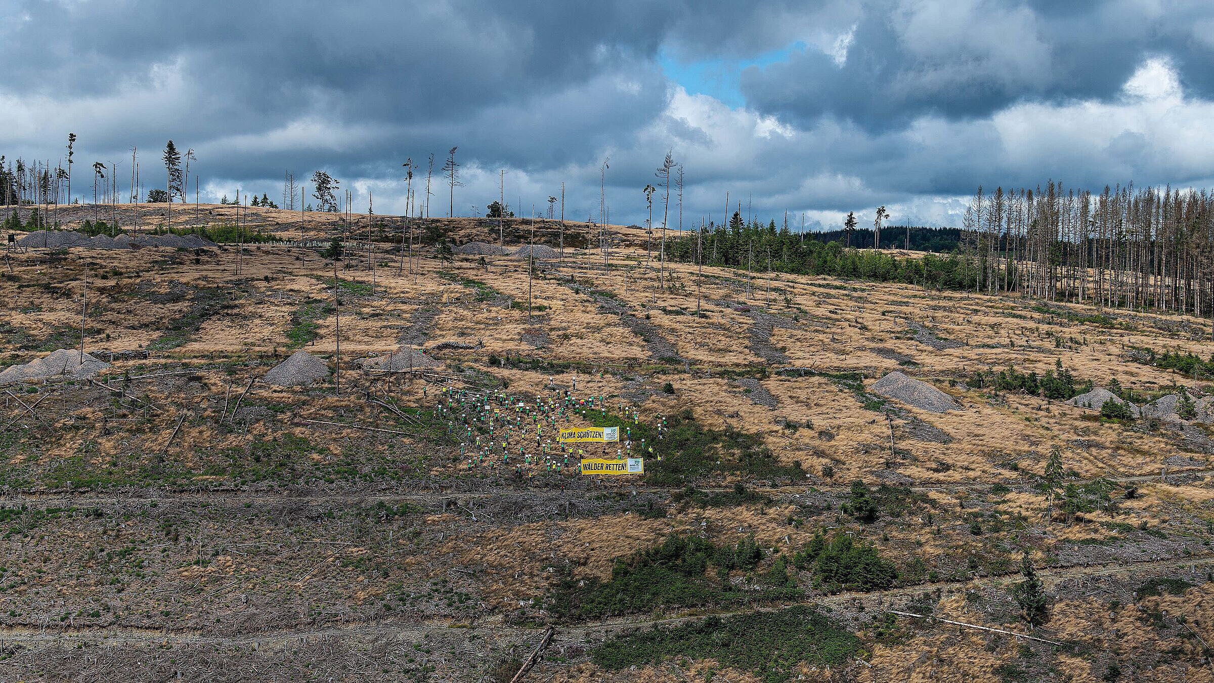 Waldsterben 2.0 im Frankenwald-BN Fotoaktion, Foto Toni Mader