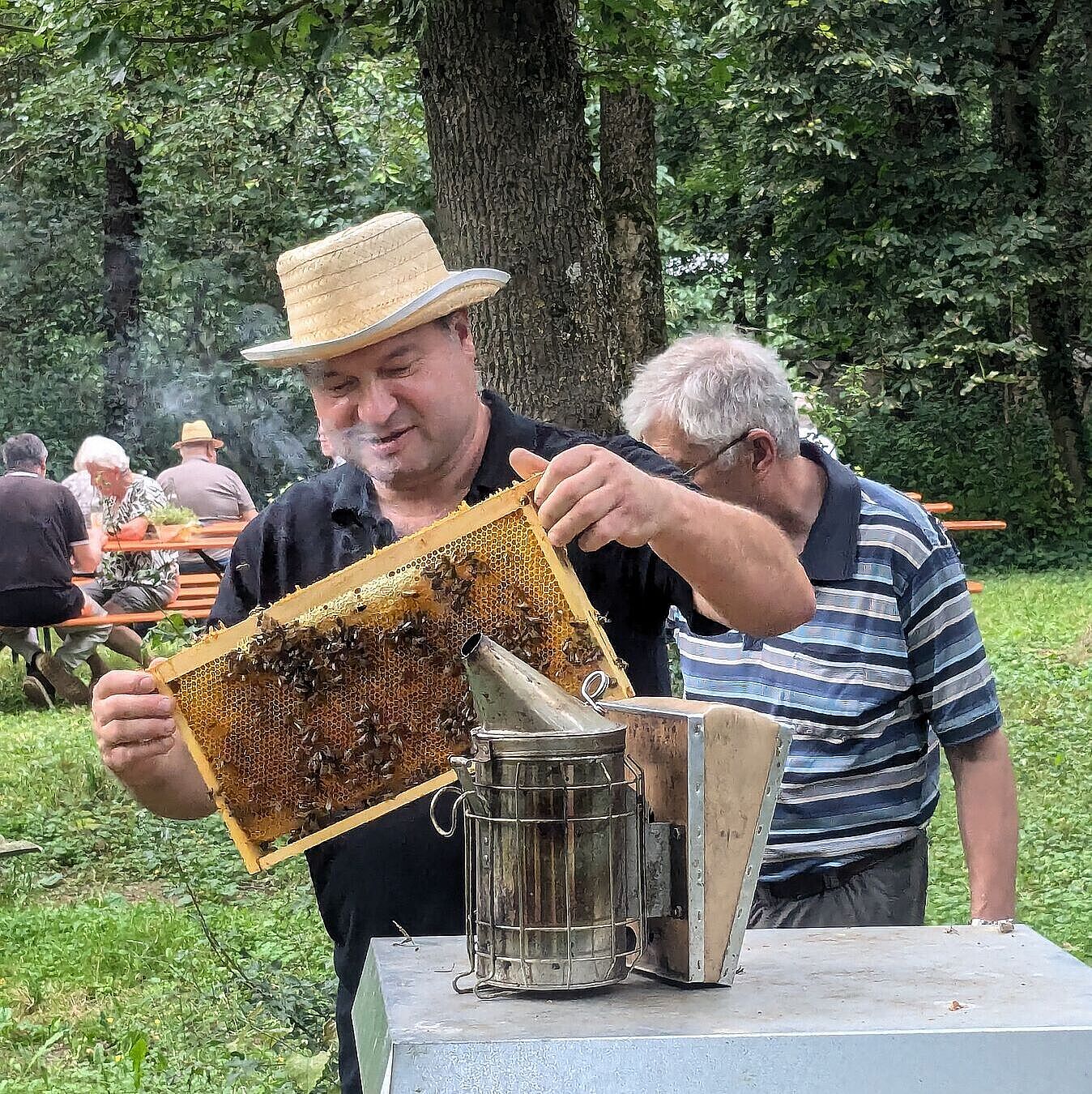 Sommerfest, bei der Imkerführung; Foto Conni Schlosser