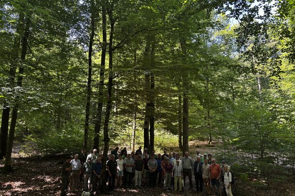 Naturgemäße Waldwirtschaft im Stadtwald Lohr - Exkursion anlässlich Jubiläum, Foto Dr. Janina Deutschmann Naturgemäße Waldwirtschaft im Stadtwald Lohr - Exkursion anlässlich Jubiläum, Foto Dr. Janina Deutschmann