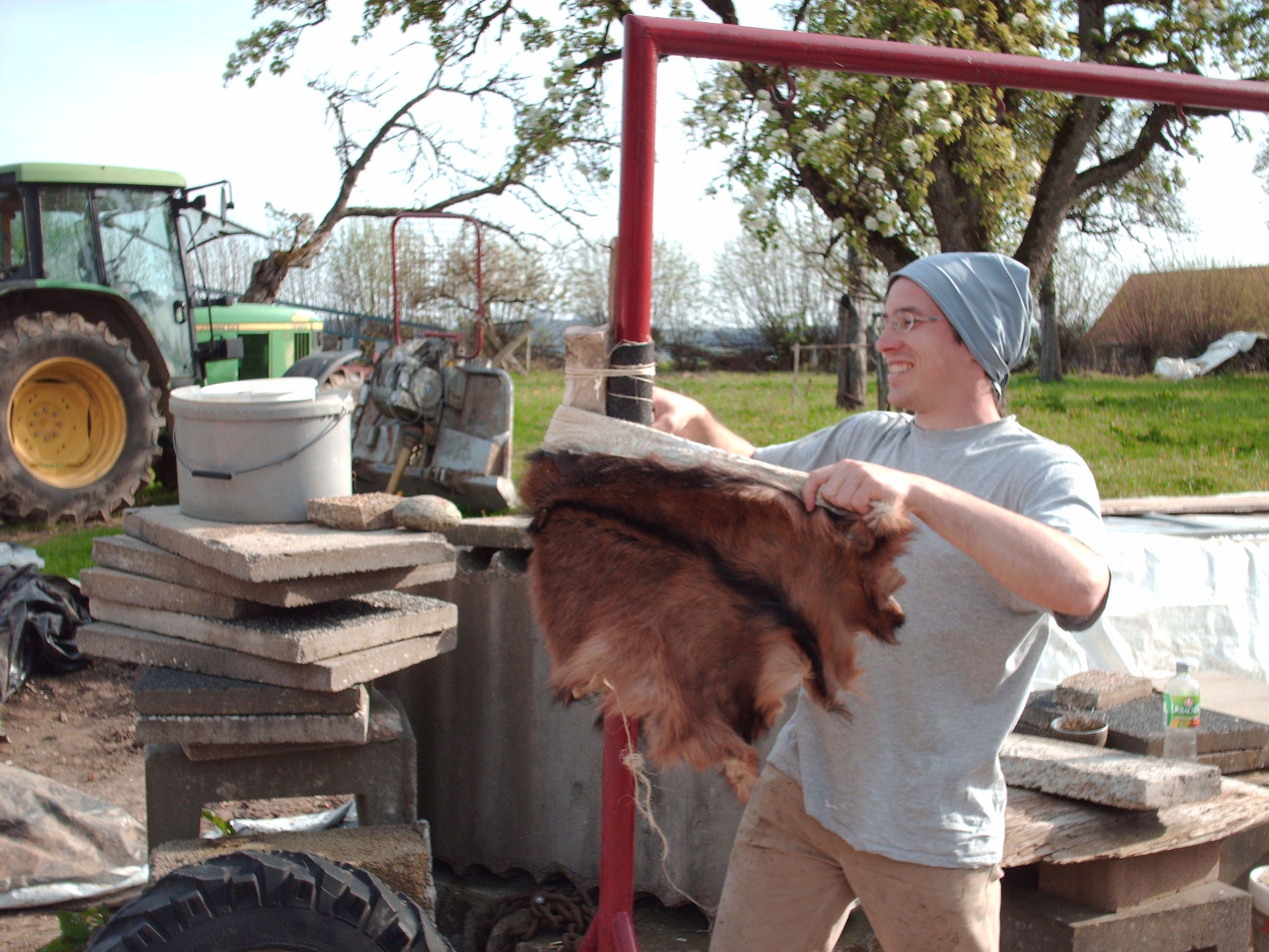 Weichmachen eines Fell nach dem Gerbvorgang