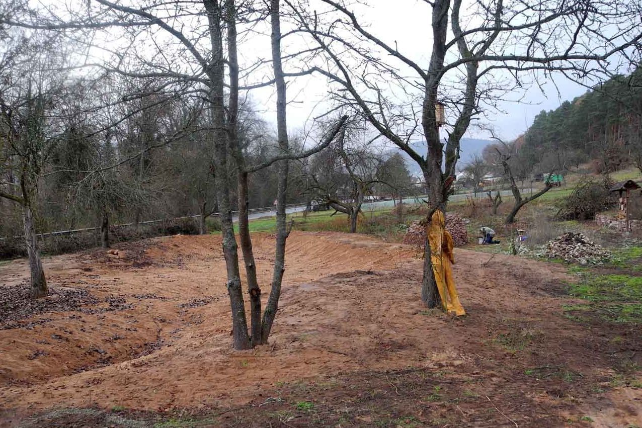 Teichfläche am Romberg, Foto Torsten Ruf