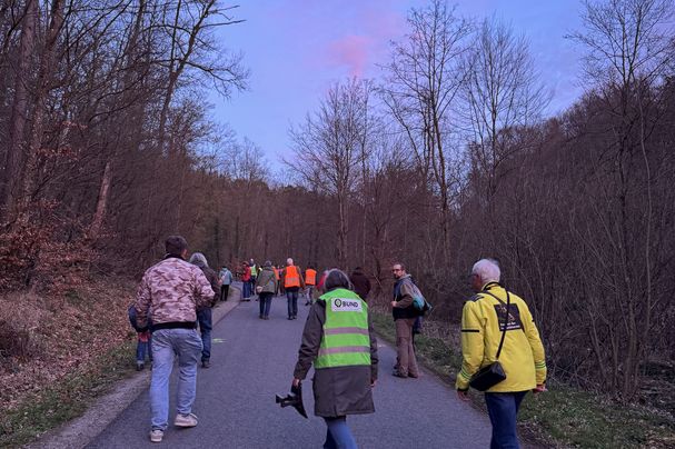 Wie auch im Vorjahr war die Exkursion zu den Feuersalamandern am Krebsbach nicht nur gut besucht, sondern ausgebucht. Foto Juliane Wellmann