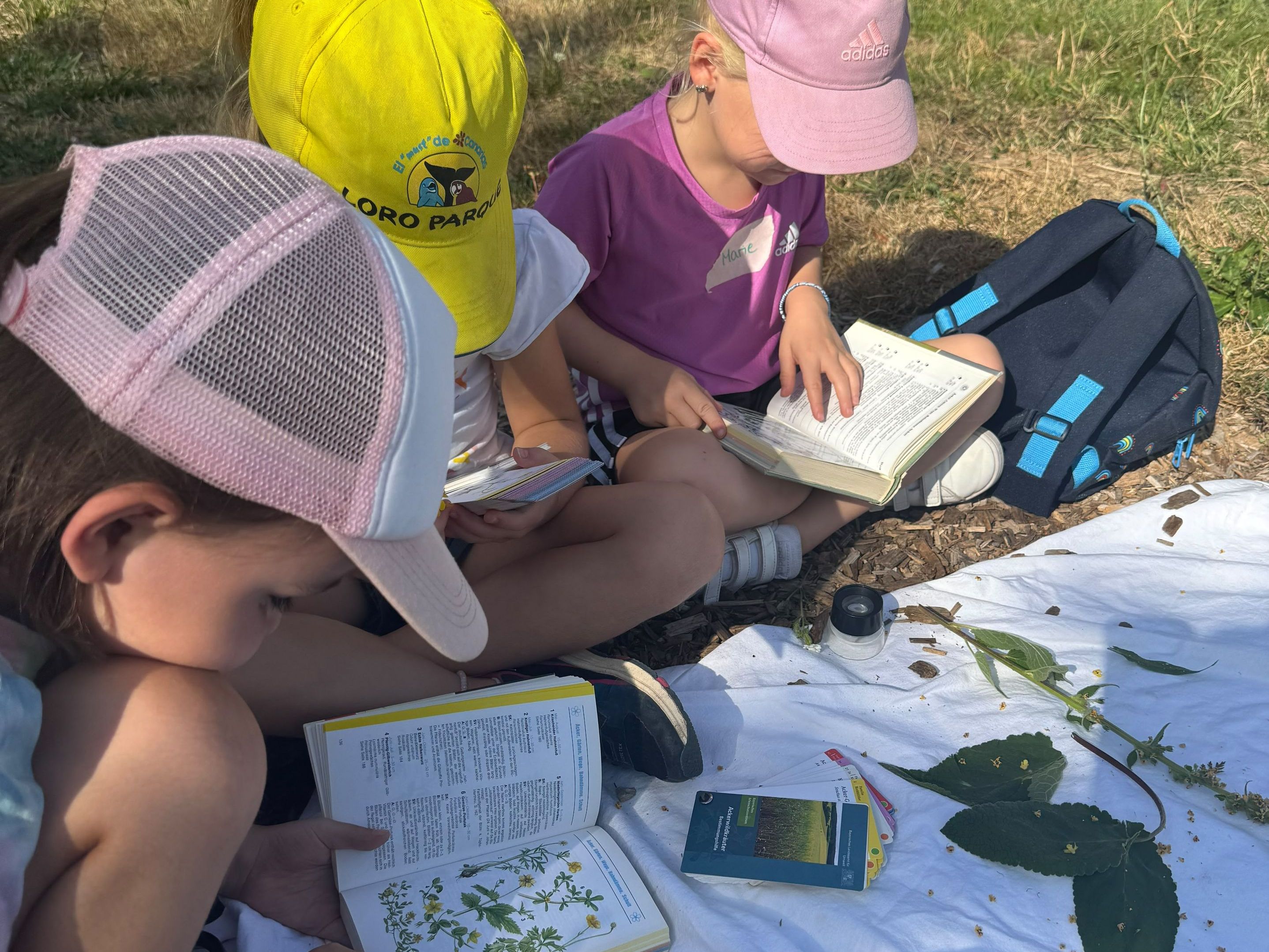 Mit Eifer bestimmten die Kinder ihre Fundstücke, Foto Juliane Wellmann