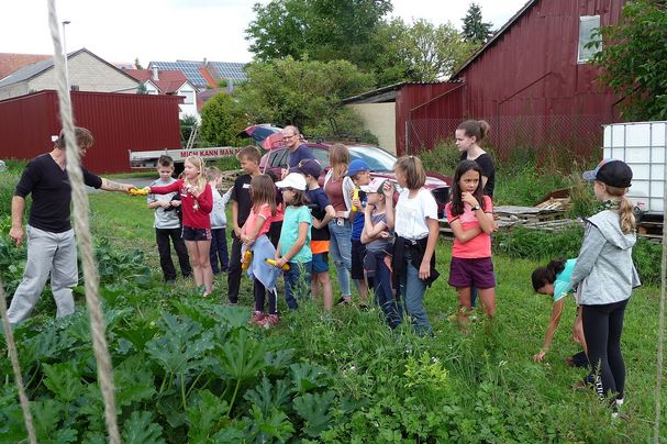 Mit der BN Ferienwoche zu Besuch auf den biologischen Anbauflächen von Thomas Garos (NaturPur) in Karbach, Foto: Erwin Scheiner