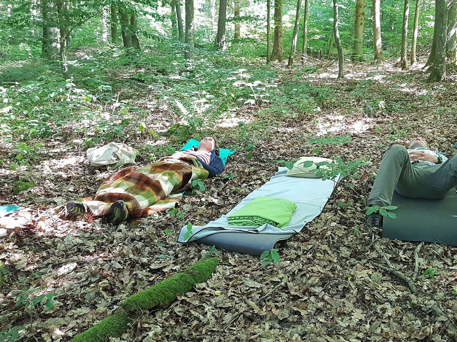 Der Waldplatz beim Klangbaden, Foto Conni Schlosser