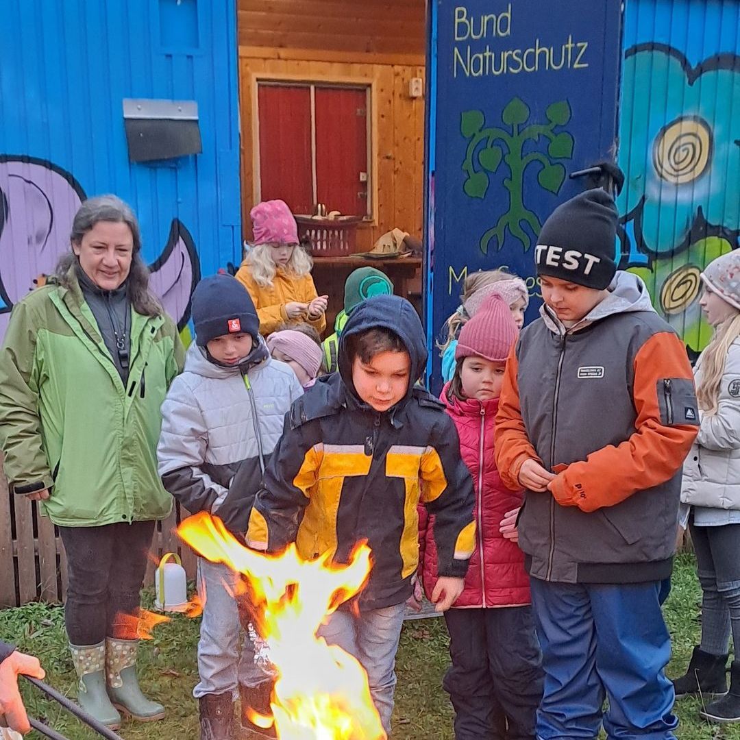 Wilde Bienen an der feuerschale, Foto Ines Rohmann