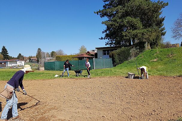 Das Spektrum der BN Aktionen im Landkreis ist groß und reicht von praktischen Arbeiten wie hier in den Lebendigen Gärten bei der Anlage einer Wildstaudenfläche in Marktheidenfeld bis hin zu Bildungsangeboten, Foto: Conni Schlosser