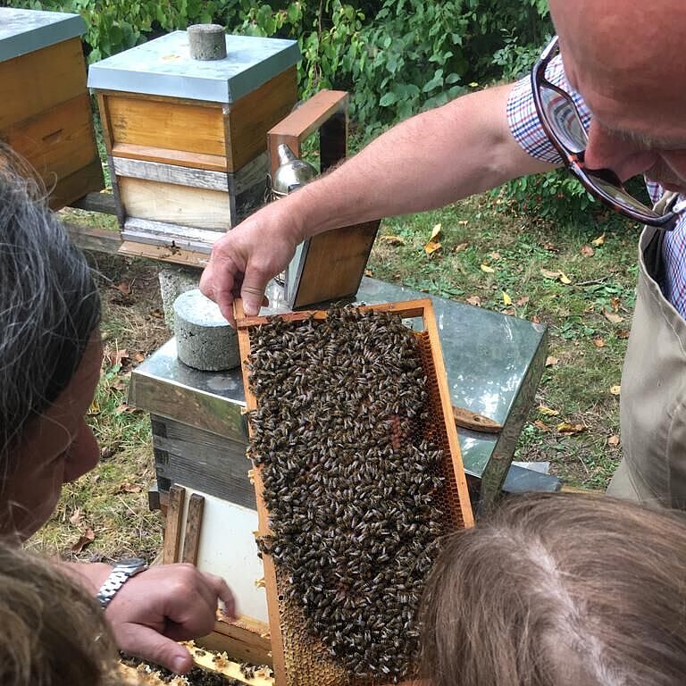 Kindergruppe Wilde Bienen zu Besuch beim Imker, Foto Ulrich Geißler