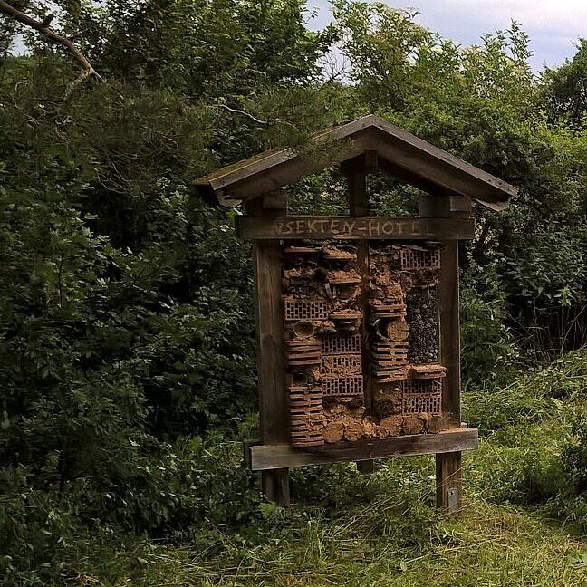 Insektenhotel am ursprünglichen Standort, Foto Conni Schlosser