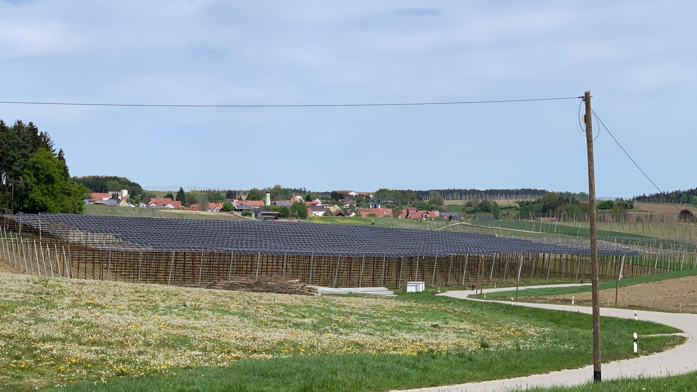 PV über Hopfen, Foto Dr. Peter Doleschel