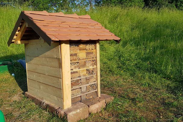 Insektenhotel, Foto Conni Schlosser