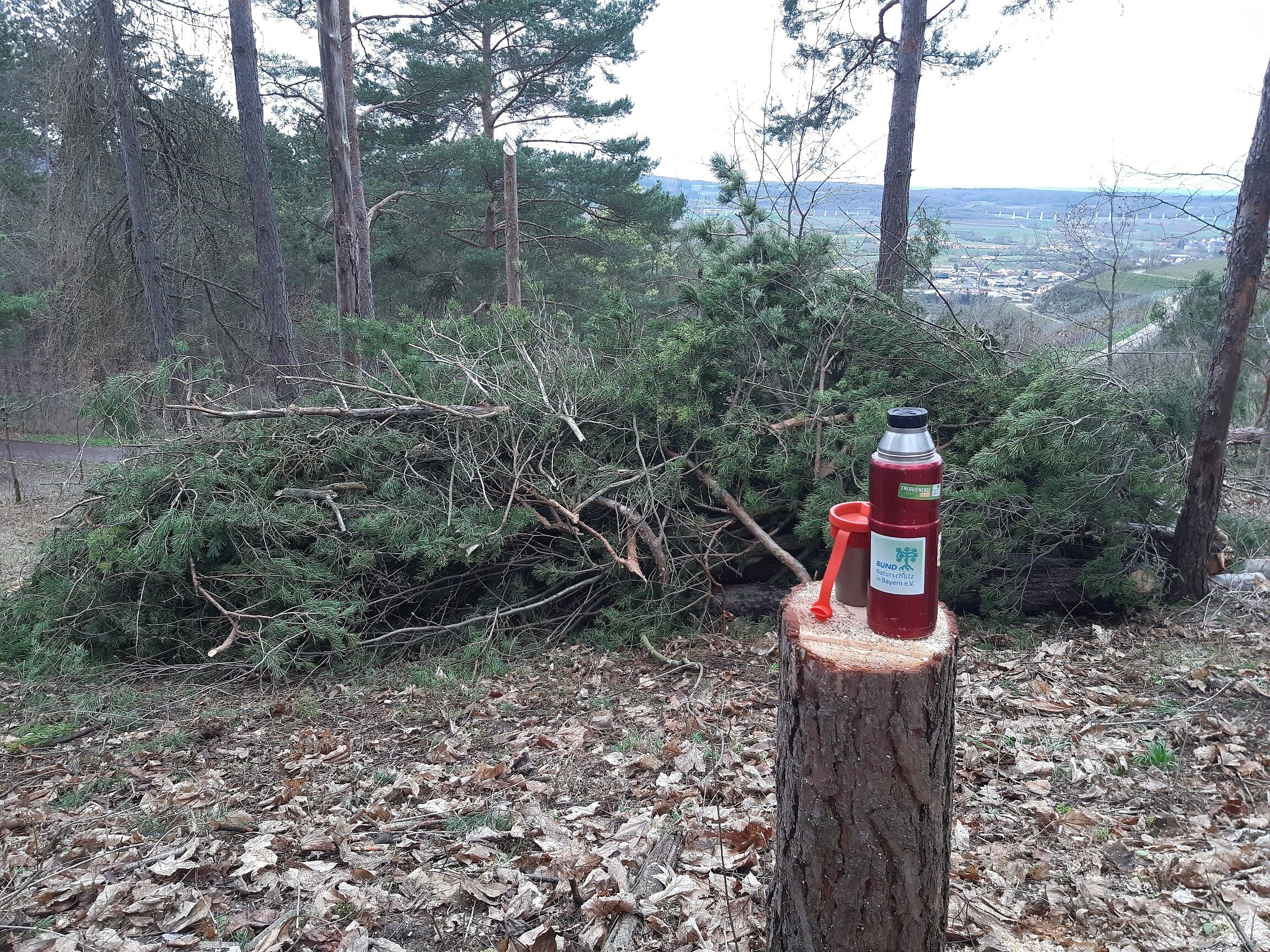 Am Tiertalberg, Foto OG Retzbach