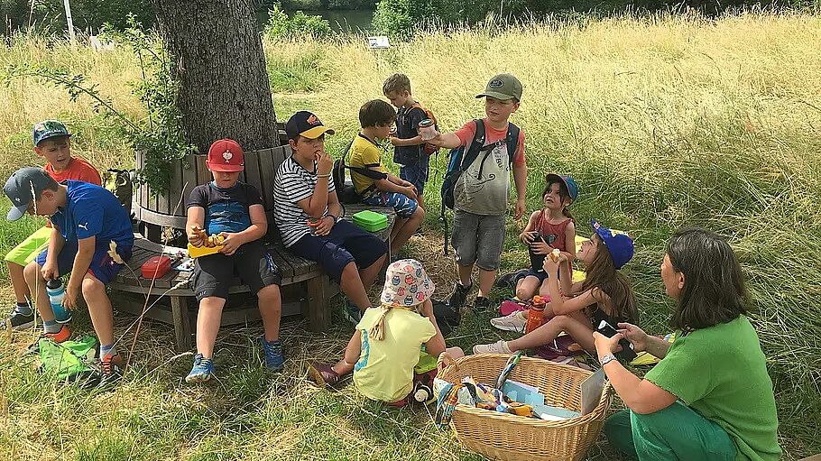 „Wilde Bienen“ in den "Lebendigen Gärten" BUND Naturschutz in Bayern e.V.