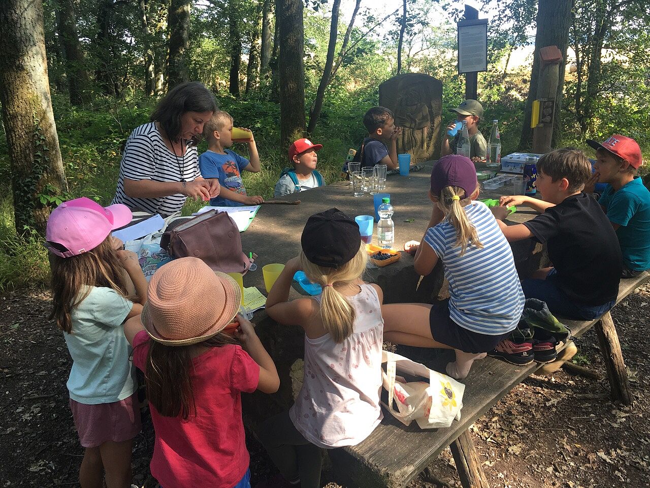 Wilde Bienen beim Picknick auf dem Waldwichtelweg, Foto Ulrich Geißler