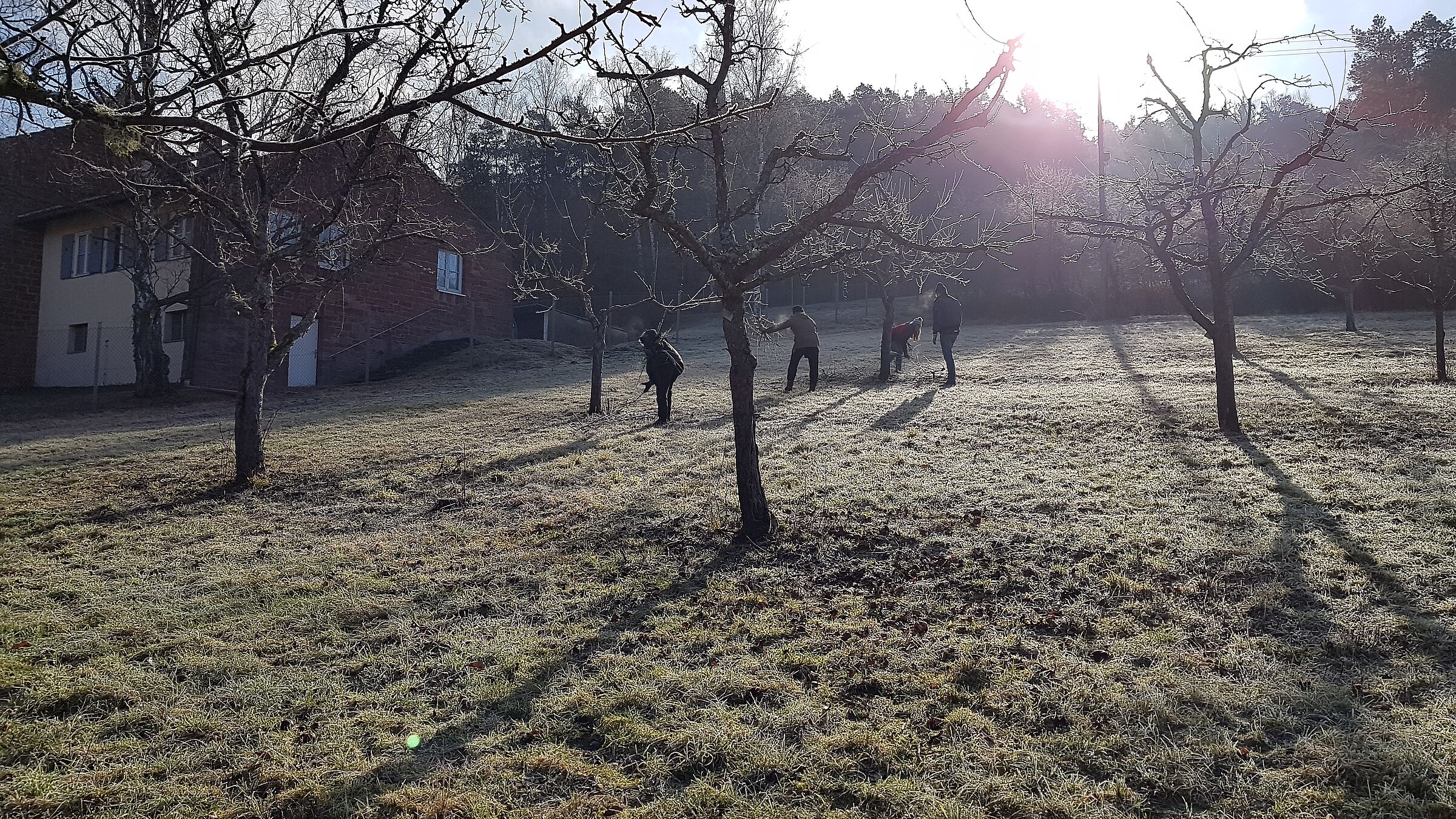 Arbeitseinsatz am Rebschnittgarten, Foto Conni Schlosser