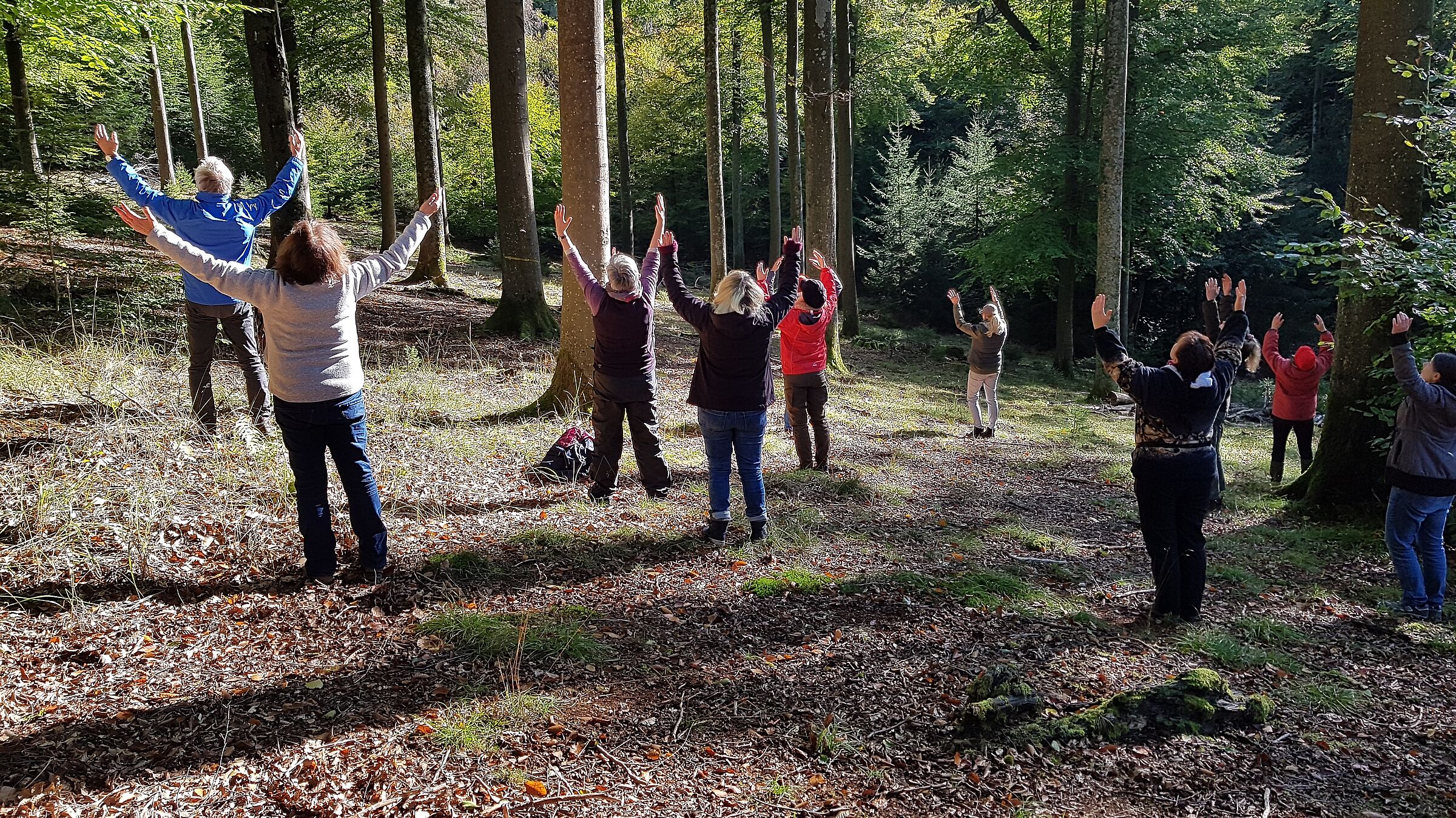 Waldbaden in der Umweltbildung: Teilnehmer*innen am Workshop erfühlen den Waldraum