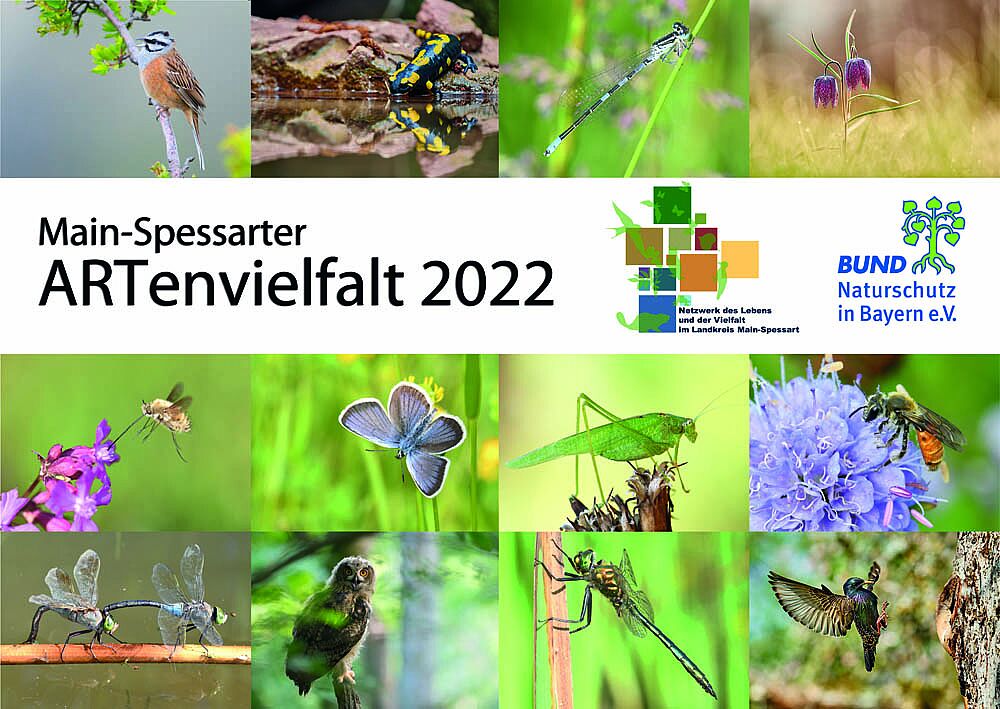 Kalender 2022 MainSpessarter ARTenvielfalt