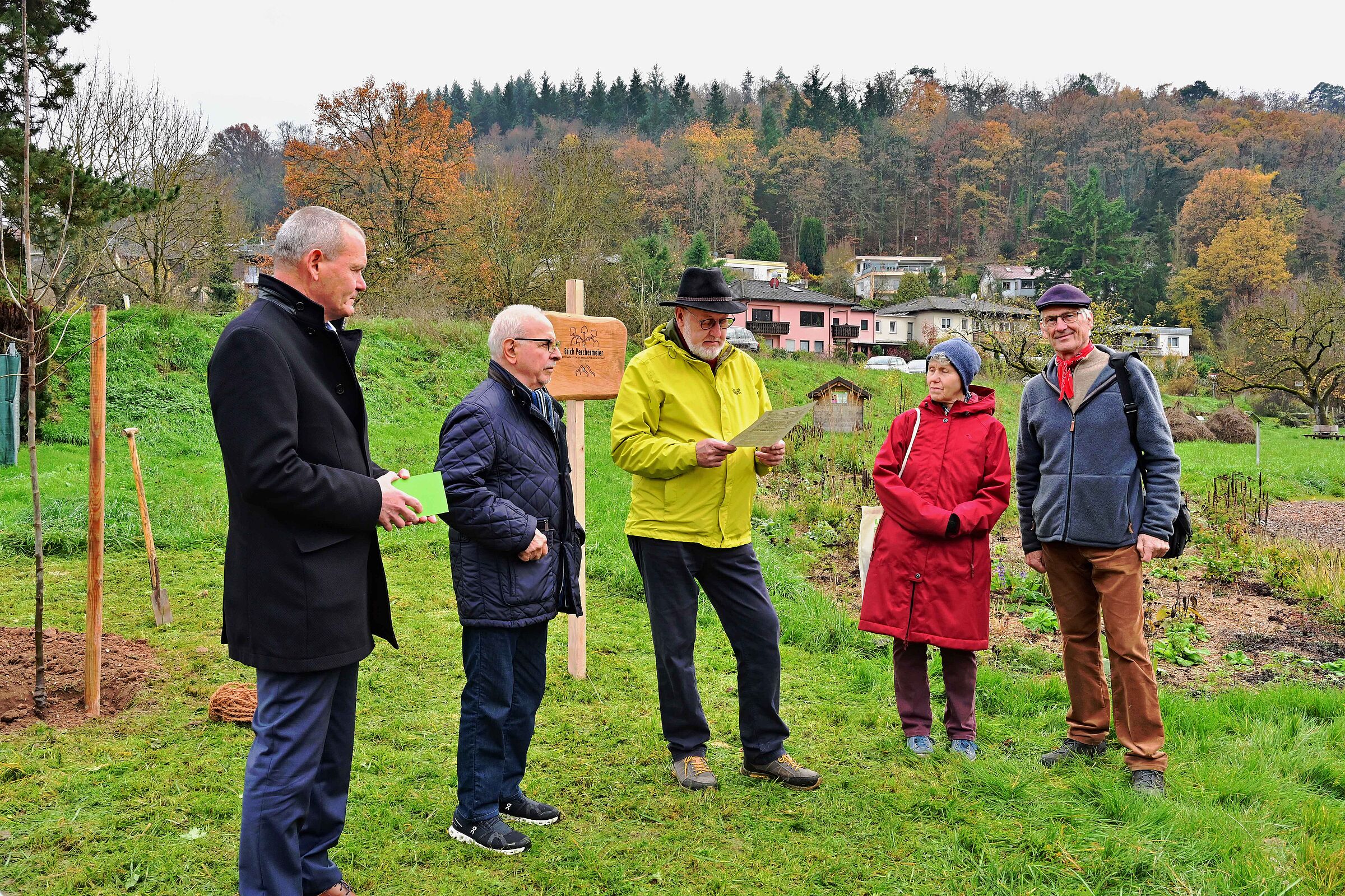 Ein Speierling und ein Platz für Erich Perchermeier, Foto Alfred Dill