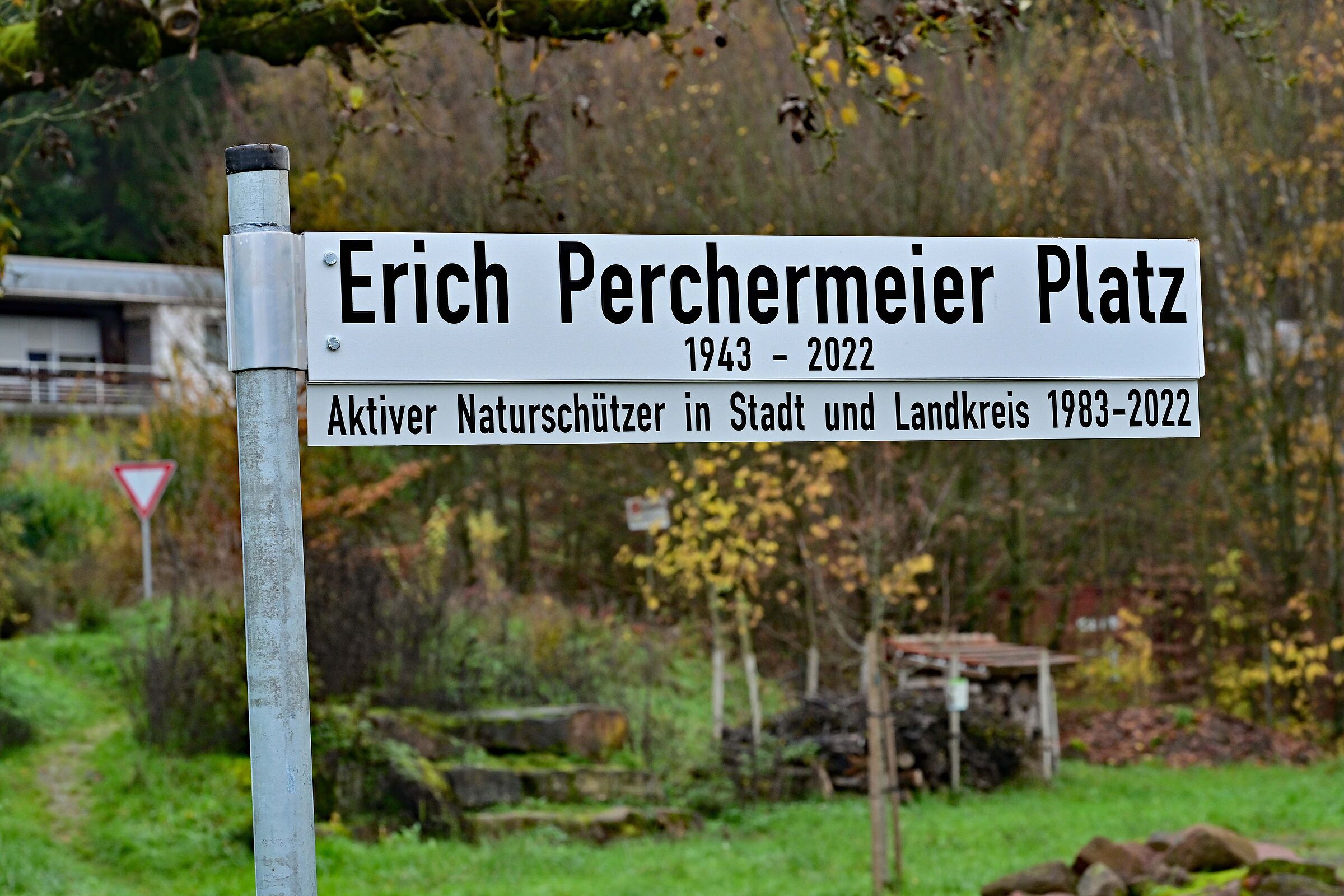 Ein Speierling und ein Platz für Erich Perchermeier, Foto Alfred Dill