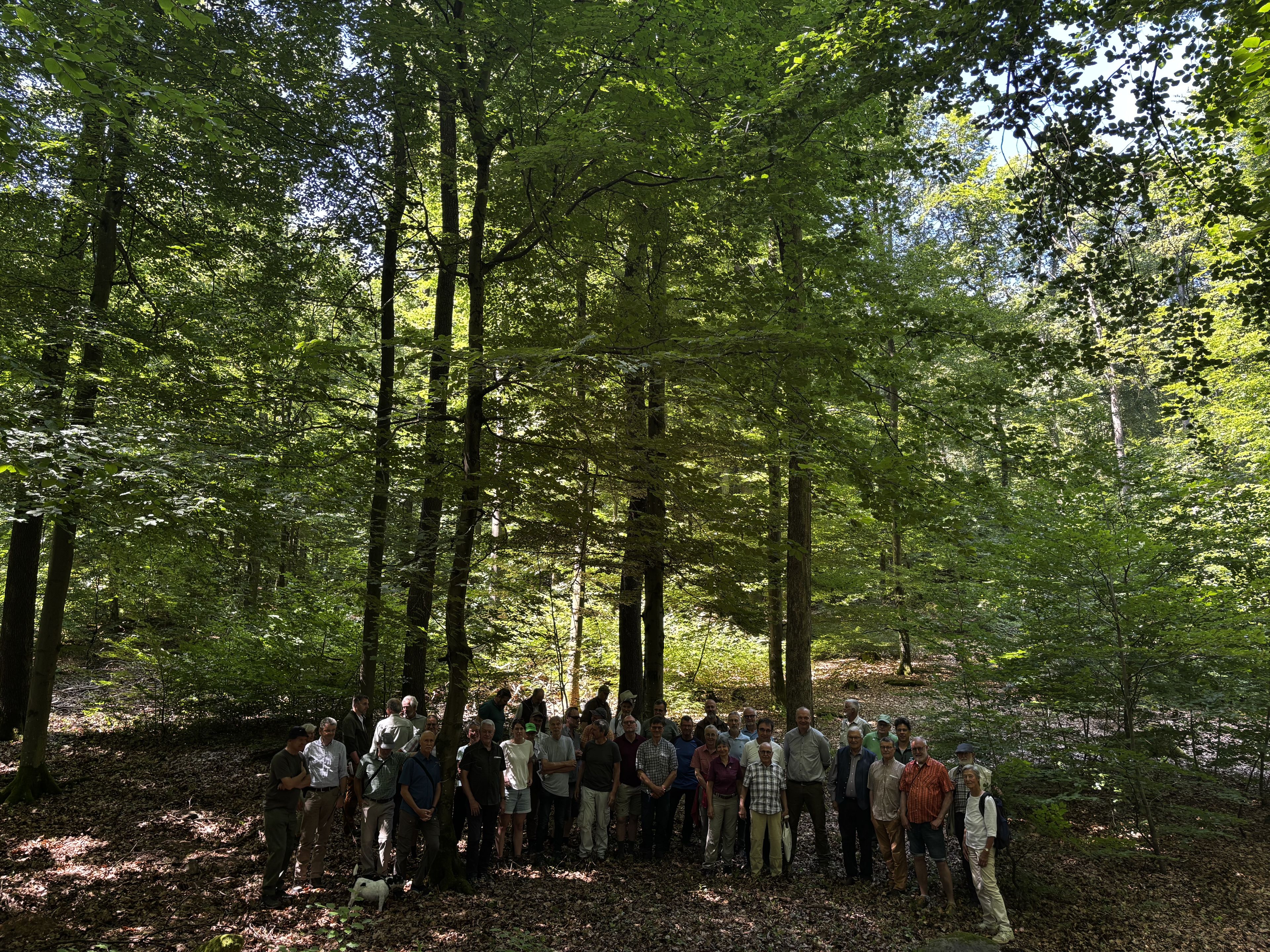 Naturgemäße Waldwirtschaft im Stadtwald Lohr - Exkursion anlässlich Jubiläum, Foto Dr. Janina Deutschmann Naturgemäße Waldwirtschaft im Stadtwald Lohr - Exkursion anlässlich Jubiläum, Foto Dr. Janina Deutschmann
