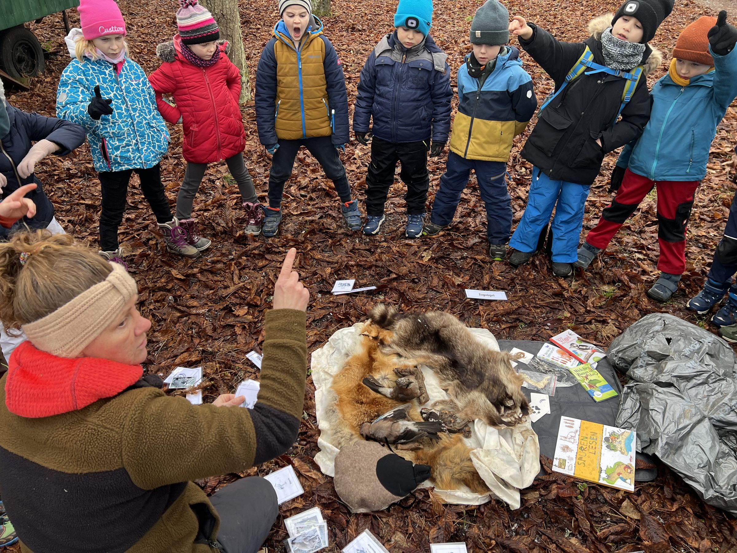 Viel Material zum Thema Tierspuren und Tiere im Winter hatte Juliane den Kindern mitgebracht, Foto Alfred Dill